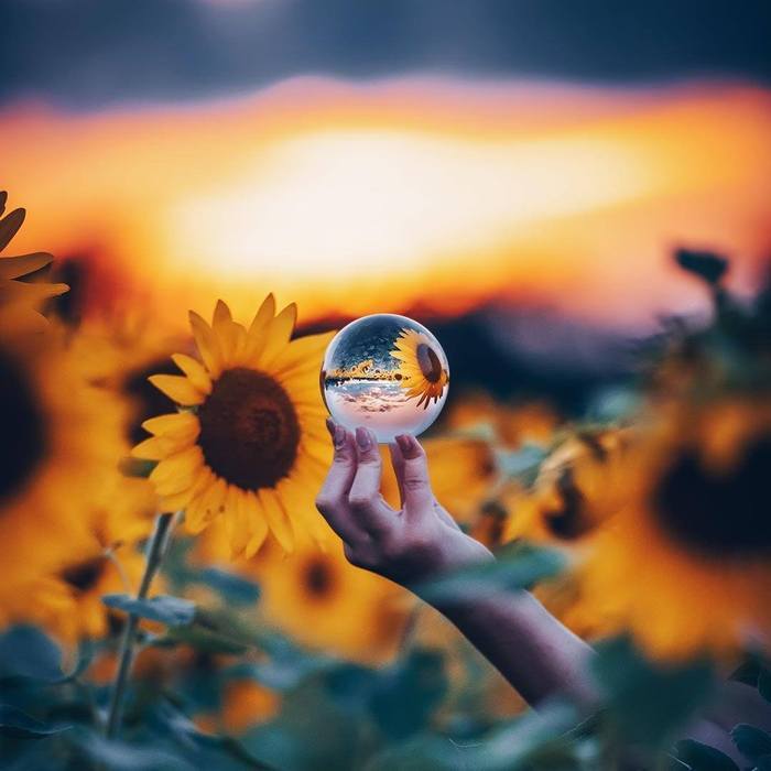 LensBall - O Mundo Por Outro Ângulo (Cód. 3682189031) - Image 6