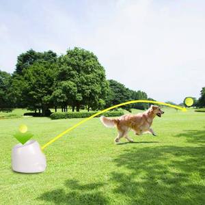 Interactive Automatic Dog Ball Launcher