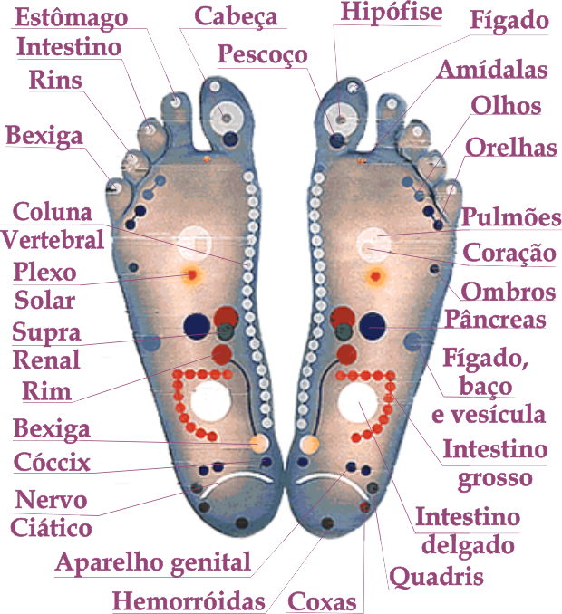 Portal Novo Ser | Exercício e saúde, Massoterapia, Dicas de massagem