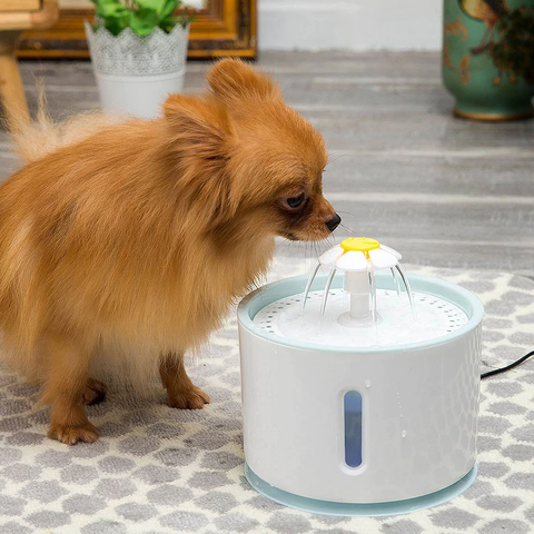 Fonte de Água para Gatos