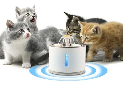 Fonte de Água para Gatos