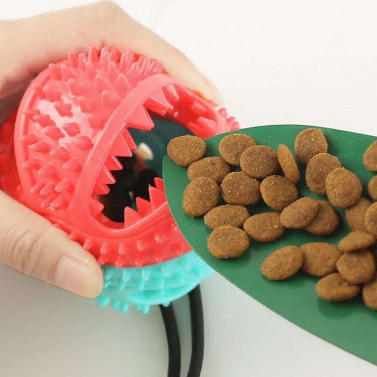 Brinquedo armazenador de comida para cachorro com dentição em formação